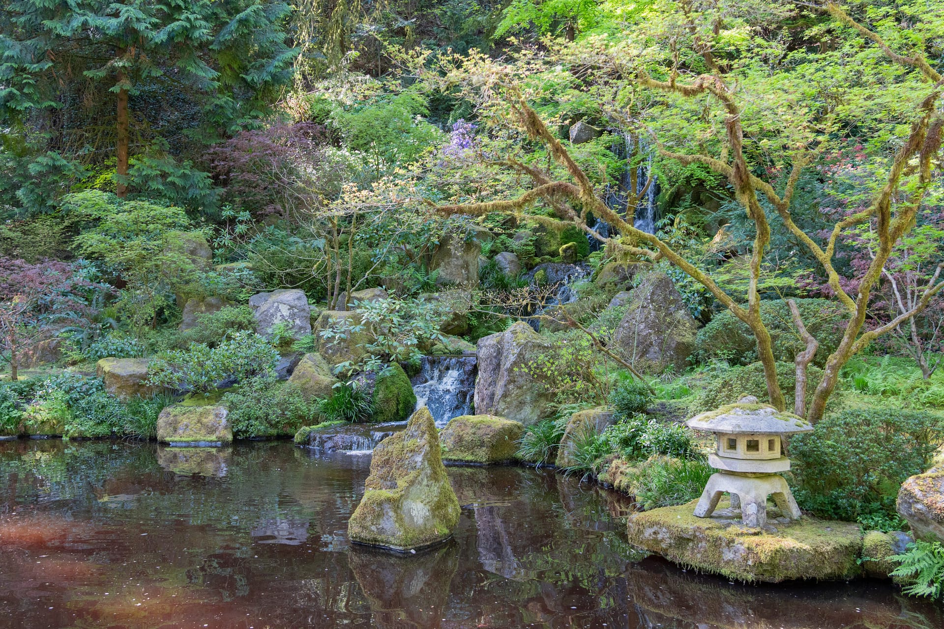 a pond with purple water, that has a waterfall cascading into it. a stone lantern is also in view