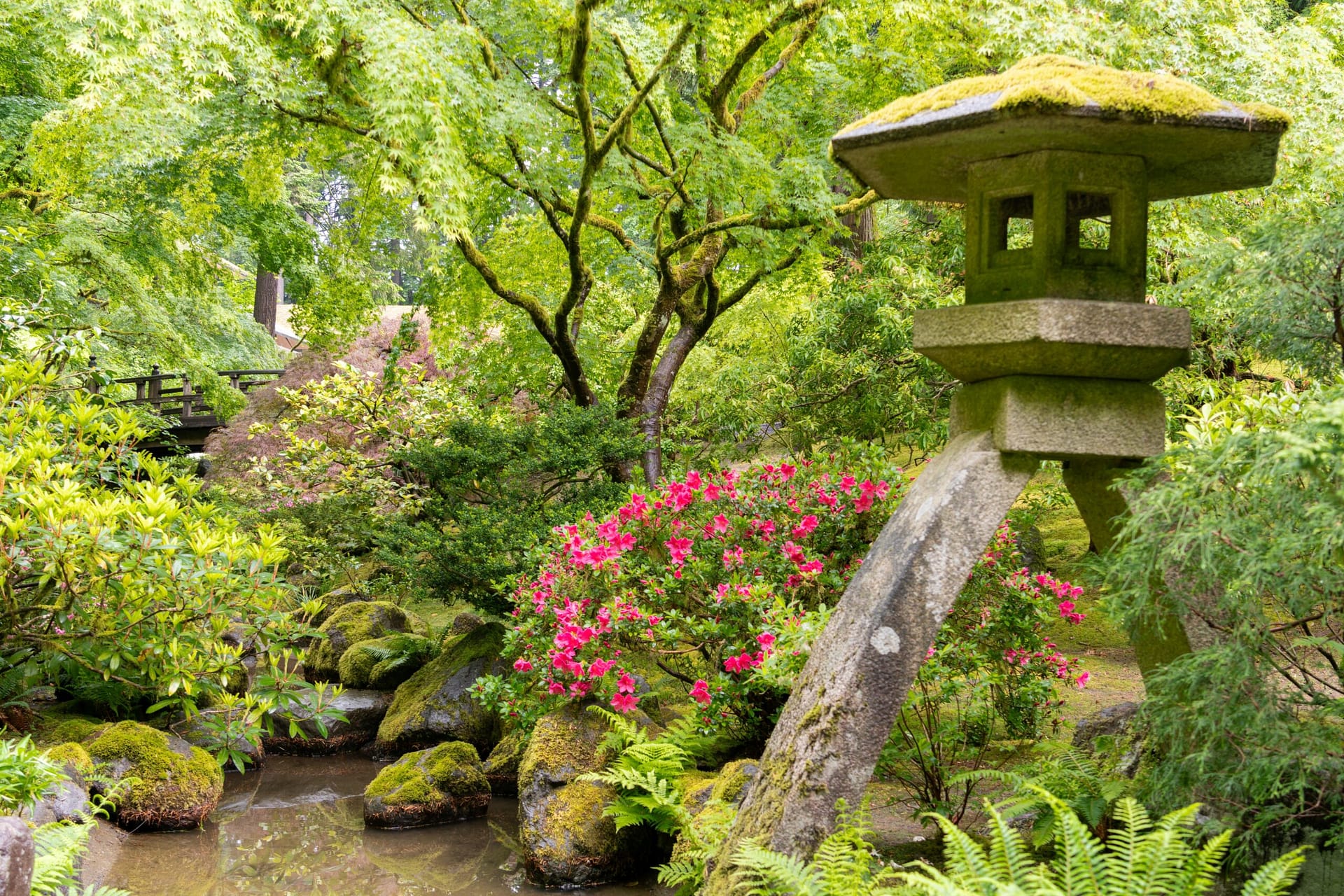 a stone lantern next to pink flowers