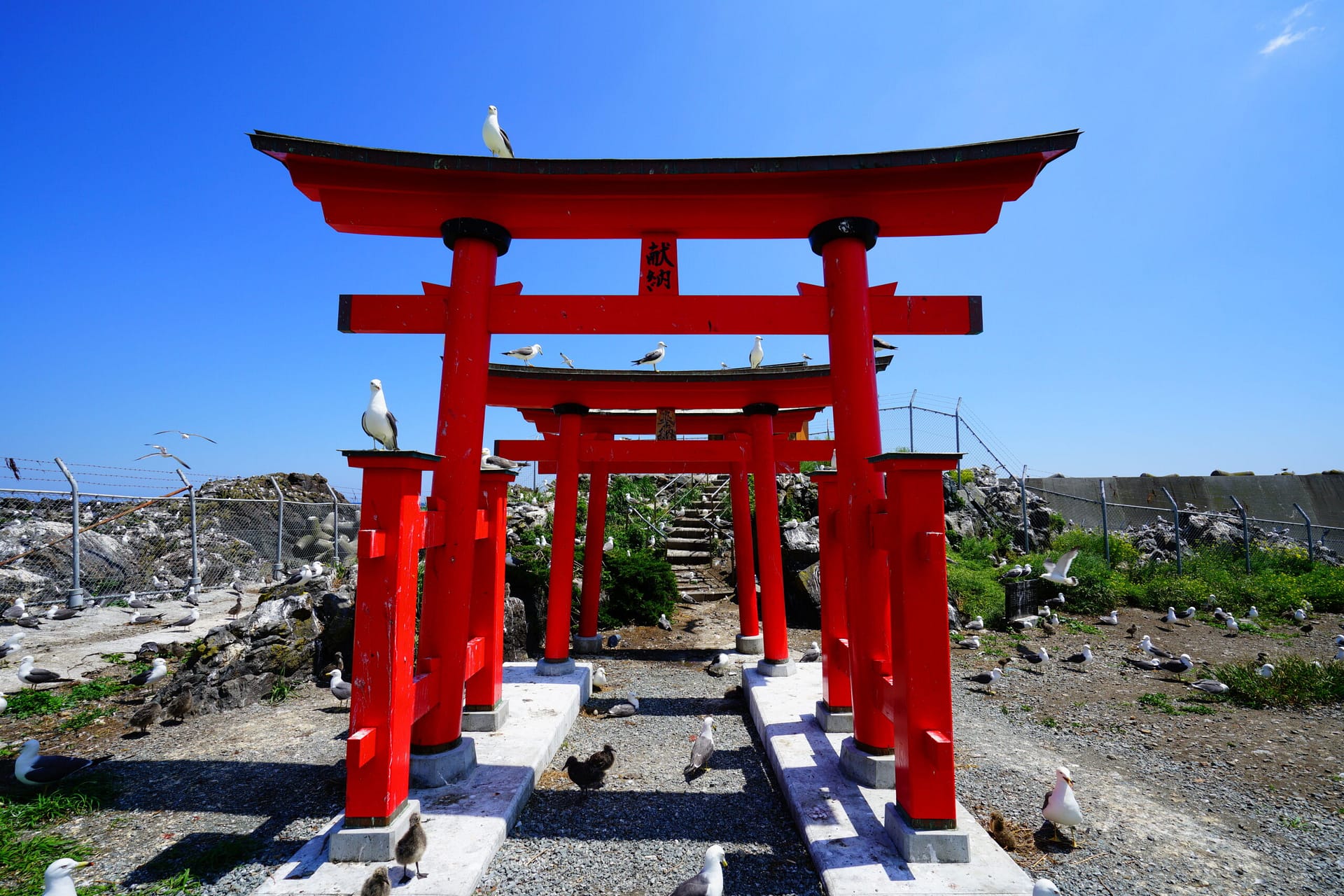 A bright red torii gate against a bright blue sky
